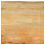 Vidaxl Table Top 39.4x15.7x1.5 In Solid Wood Mango-102730559