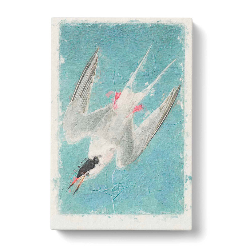 Roseate Tern Bird by John Audubon - Wrapped Canvas Print, 50cm H x 35cm W x 3cm D