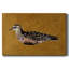 Toile tendue I-Gallery Feathered Friend-1115253536