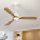 Karlena 52'' Ceiling Fan with LED Lights and Remote Control