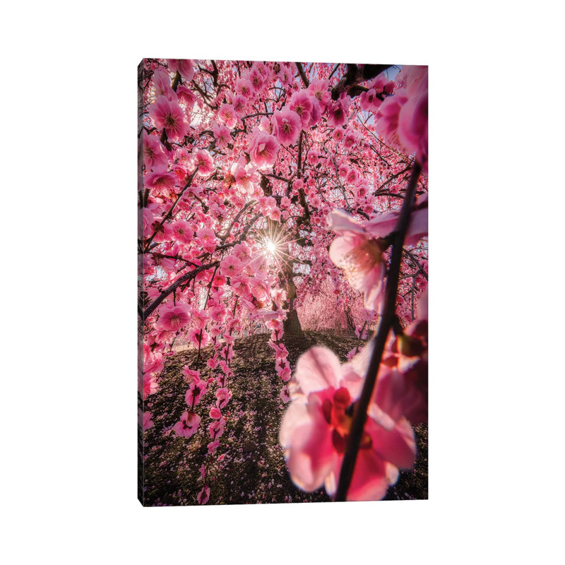 Spring In Japan XXIV by Daisuke Uematsu - Print on Canvas, 66.04cm H x 45.72cm W x 3.81cm D, Wrapped Canvas