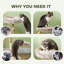 Tour pour arbre à chat avec poteau à griffer en bois 35 po Tucker Murphy Pet ™, brun