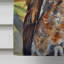 Drapeau de la maison Eastern Owl Screech_DAC3218