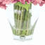 Polysilk Hydrangea Arrangement in Vase-53315512