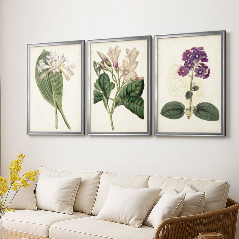 Antique Botanical Collection IV - Toile tendue avec châssis sur mesure - 3 pièces, H 27 po x l 39 po, Argent argent