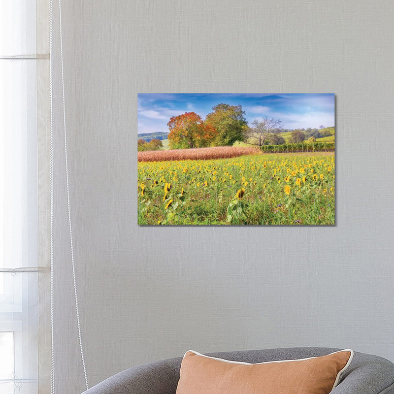 Vines And Sunflowers by Philippe Sainte-Laudy - Print on Canvas, Wrapped Canvas, 66.04 cm H x 45.72 cm W x 1.91 cm D