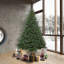 Oregon Christmas Tree-715030354