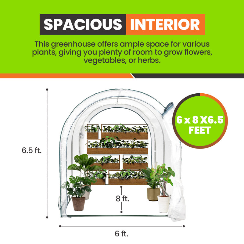 6' x 8' Clear Polyethylene Walk-In Greenhouse with Steel Frame