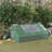 Mini Greenhouse With Zipper Windows And Door For Outdoor