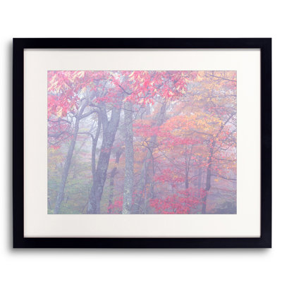 Autumn Portrait Blue Ridge Parkway #4 Photographic Print