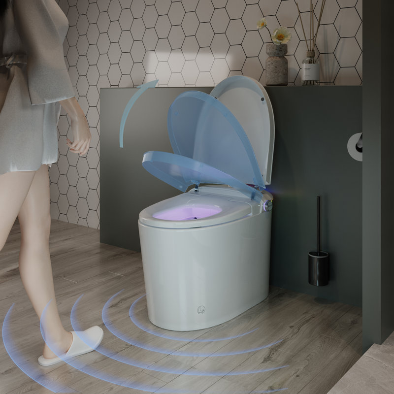 Tankless Smart One-Piece Toilet With Built In Bidet Auto Flush, Auto Open/Close,Heated Seat, Bubble Wash,Warm Water And Dry, Adjustable Temp, Remote Control