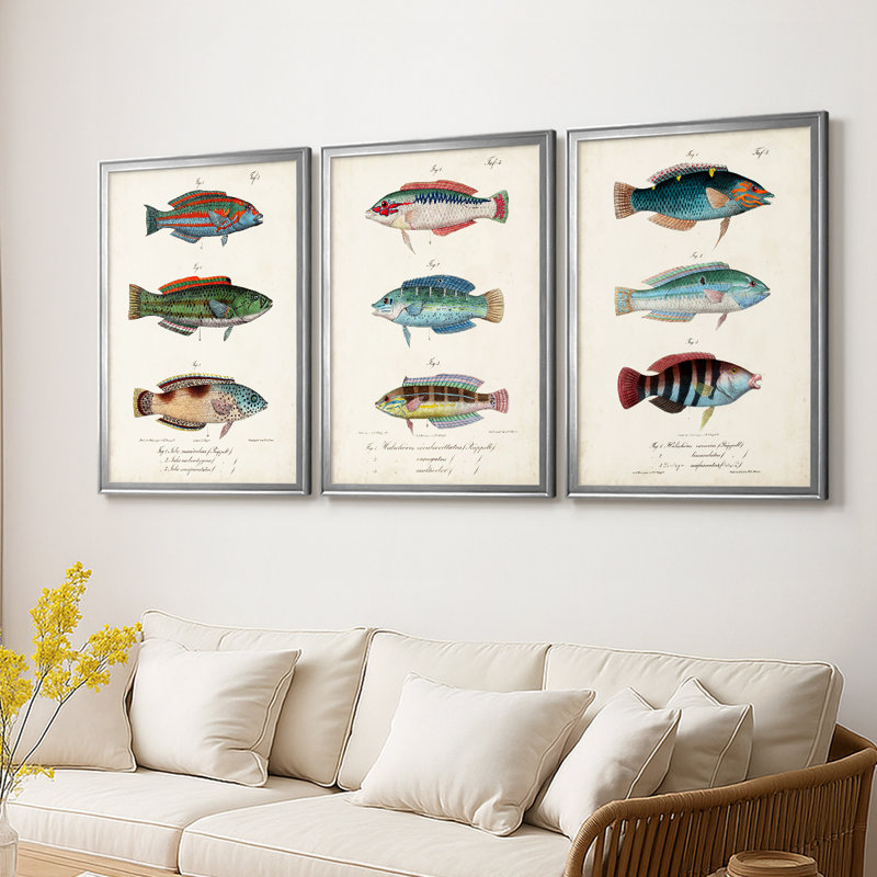 Antique Fish Trio I  -Custom Framed  Wrapped Gallery Canvas - 3 Pieces, Silver, 19" H x 27" W