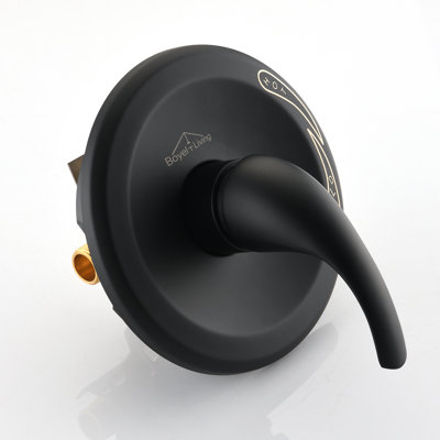 Shower Valve
