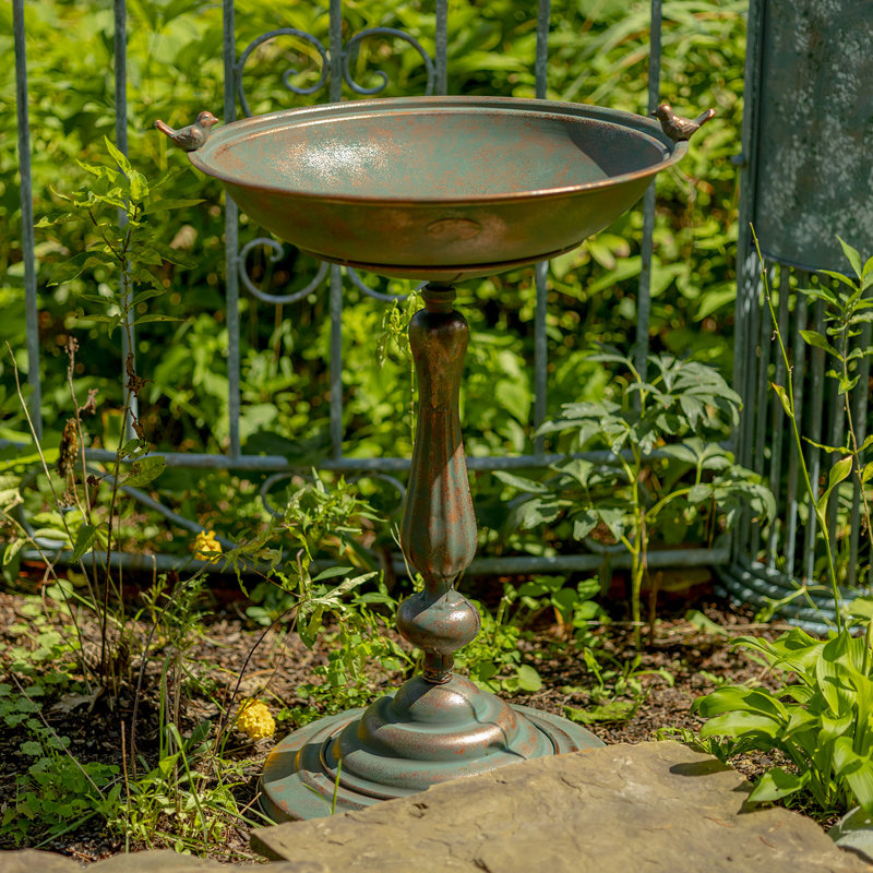 Bain d'oiseaux à piédestal Bobra, Bronze
