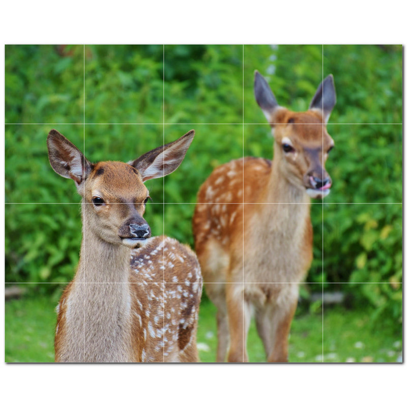 Deer Photo 8'' x 8'' Satin Ceramic Decorative Mural