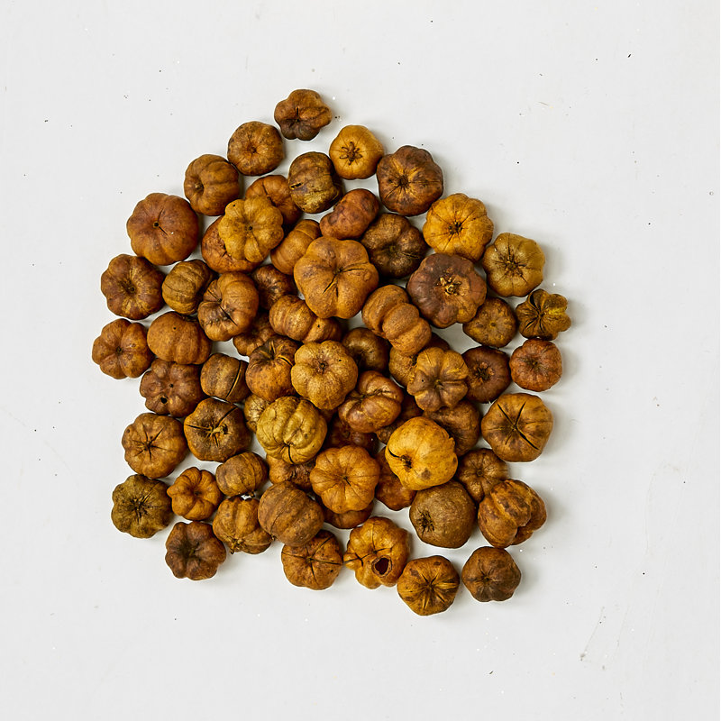 Dosettes de citrouille miniatures naturelles, 3/4 po, boîte de 2 lb, 1 lb correspond à 16 tasses, Jaune
