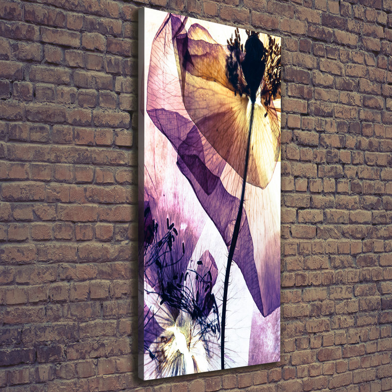 Maki - Wrapped Canvas Print