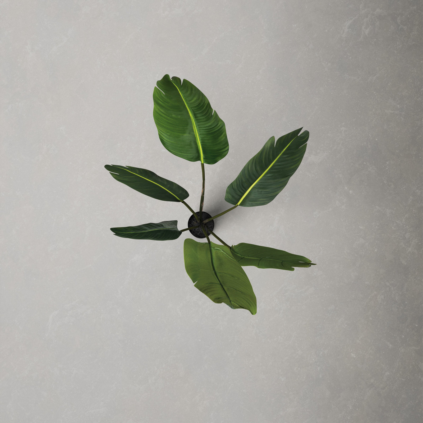 50'' Faux Banana Leaf Plant in Pot