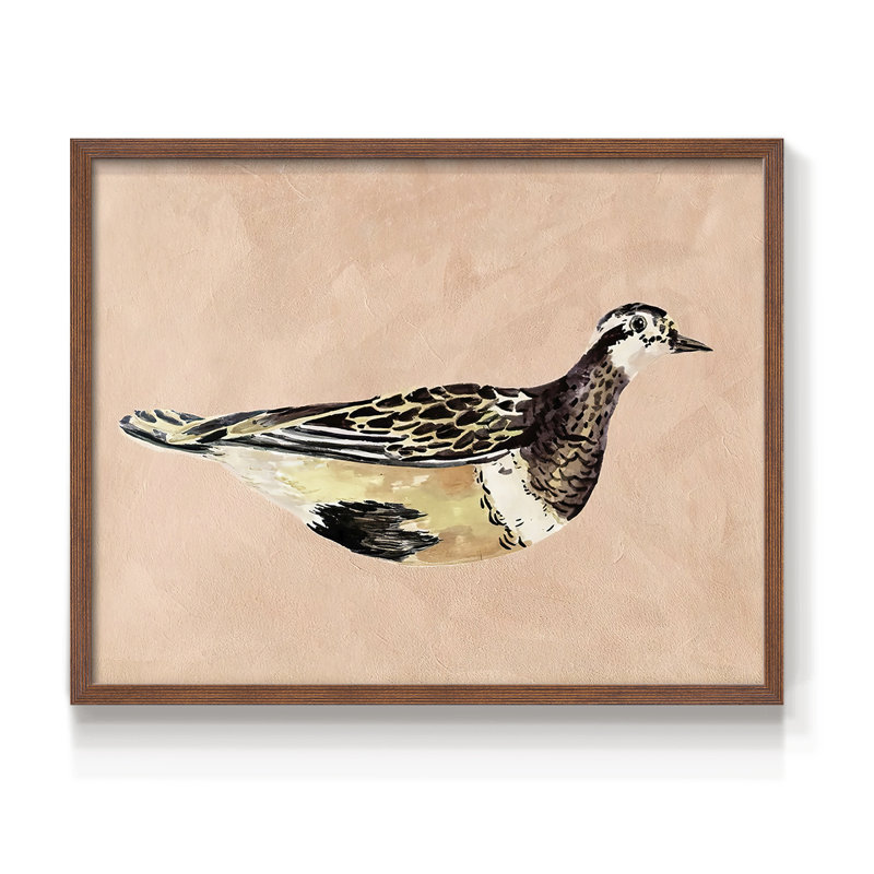 «Feathered Friend IV», reproduction encadrée, H 8 po x l 10 po, Noyer