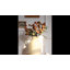 Tige de litchi de fruits artificiels