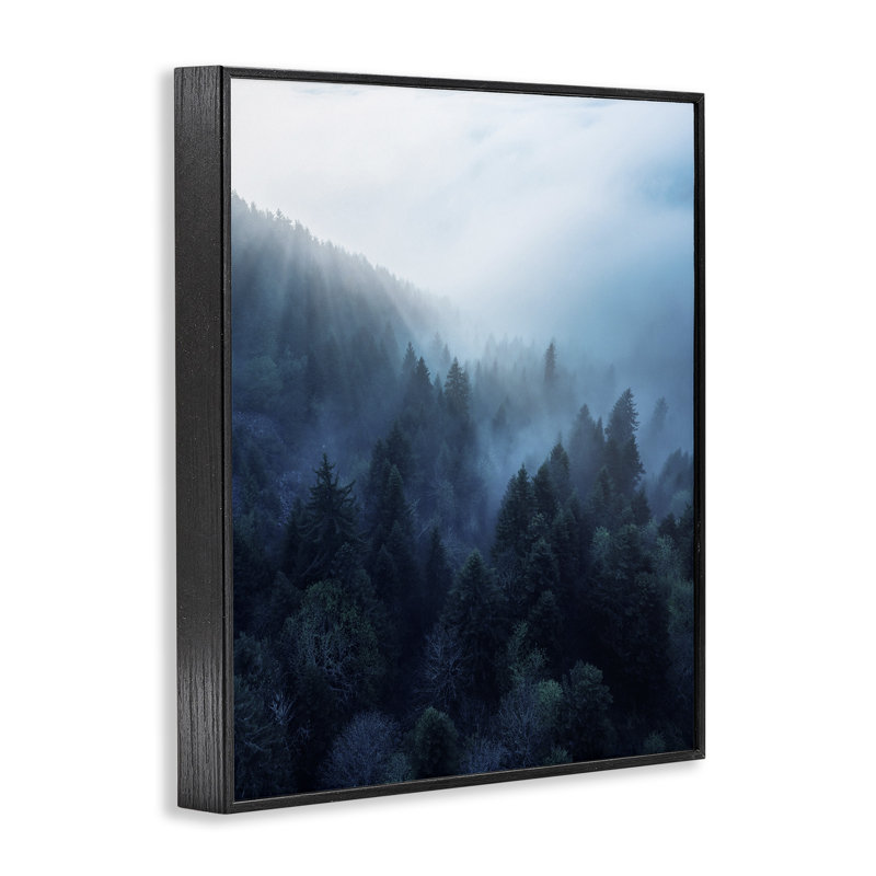 Daylight Over Pine Forest Framed Canvas Print in Black Frame