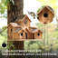 Rustic Multi-Room Birdhouse For Small Birds, Handmade Cedar Construction
