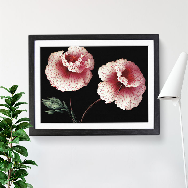 Sparkling Carnation Flowers - Framed Print, 25cm H x 34cm W x 2cm D, Black