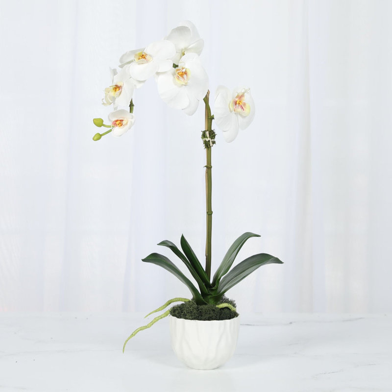 Faux orchidée dans un vase blanc, Blanc, Blanc