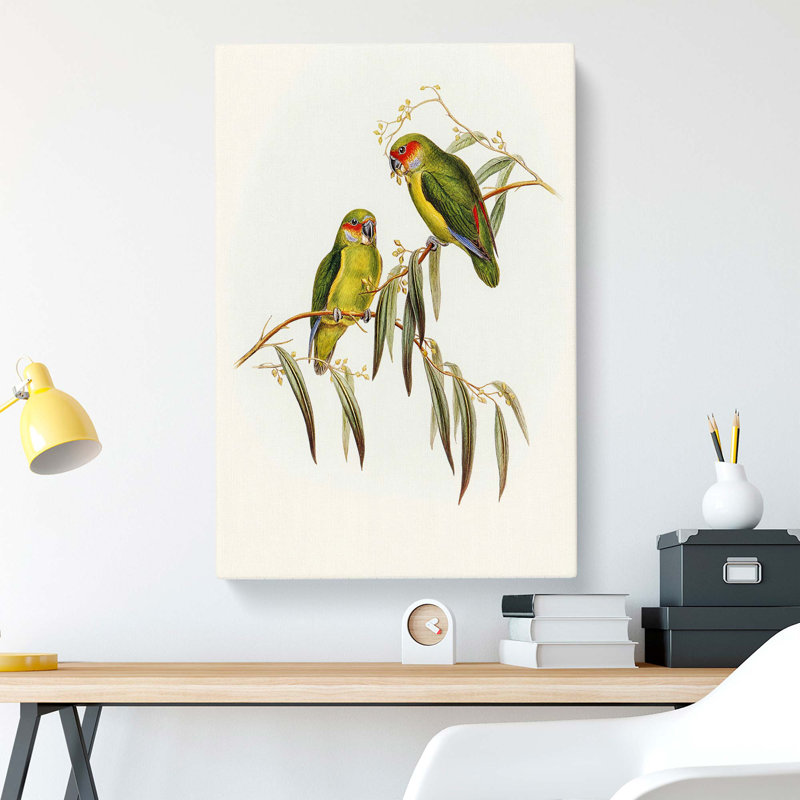 Coxens Parakeets by Elizabeth Gould - Wrapped Canvas, 60cm H x 40cm W x 3cm D