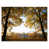 Wrapped Canvas