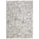 Chardarius 1240 Transitional Marbled Gray Area Rug