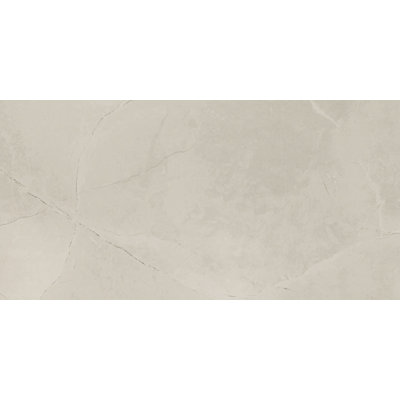 Sonoma 24 in. x 48 in. Matte Porcelain Stone Look Floor and Wall Tile