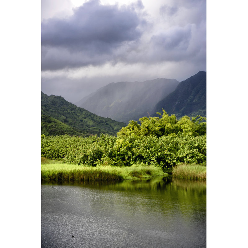 Coastal Marsh Triptych III by Danny Head - Wrapped Canvas Print, 46cm H x 30cm W