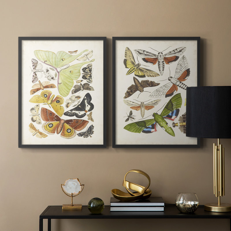 Antique Moths I - impression encadrée de qualité supérieure - prête à être accrochée - aucun clou requis - aucun clou requis