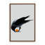 Corbeau X37-105806110-105806112