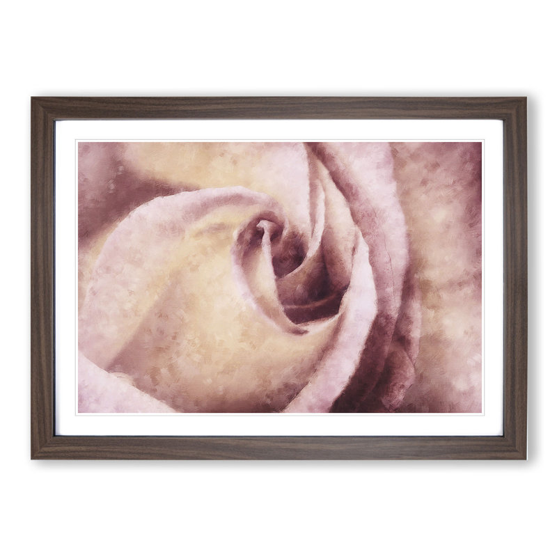 Pink Rose Flower Vol.6 - Framed Print, 48cm H x 65cm W x 2cm D, Walnut Framed