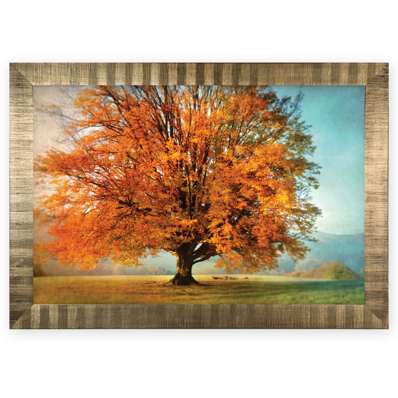 « la passion de l’automne », reproduction de photo, Cadre argenté, H 31 po x l 43 po x P 1,5 po, Blanc mat