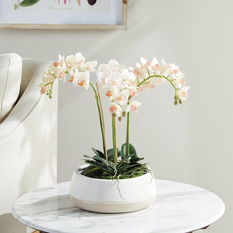 Light Pink Orchid 16" Mini Garden Drop-In