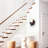 Modern 9.5" 2-Light Matte Black Wall Sconce with Globe Glass Shade and Adjustable LED Spotlight