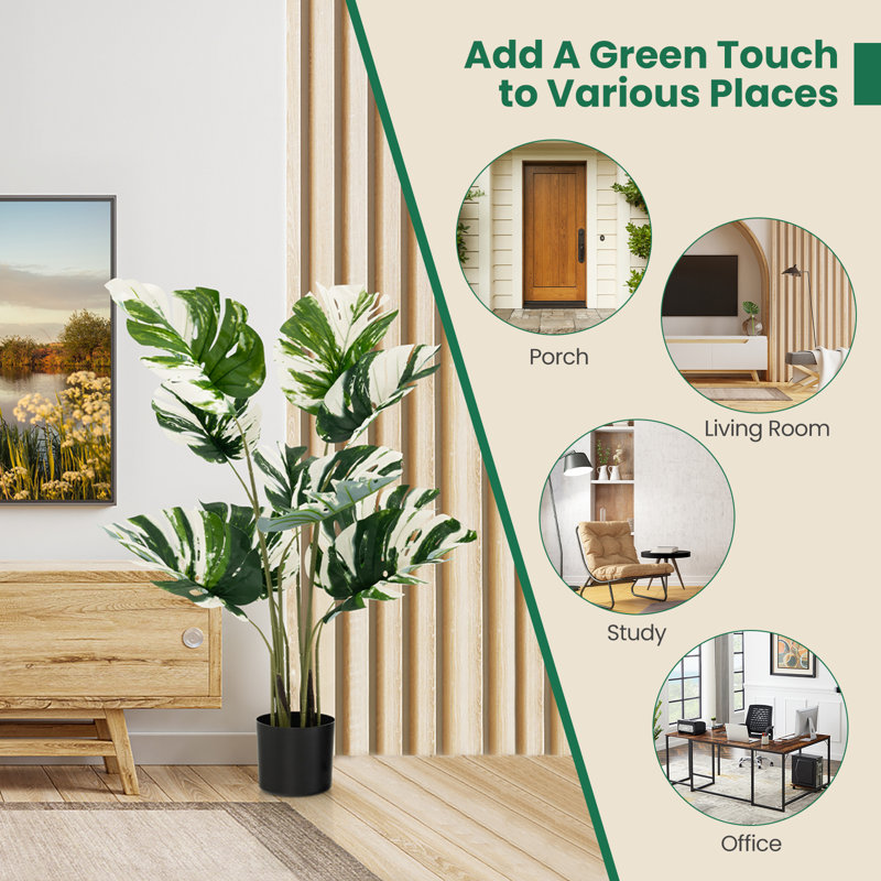Ensemble de 2 pièces de 4 pi H Vert plante d'intérieur et d'extérieur Monstera Deliciosa
