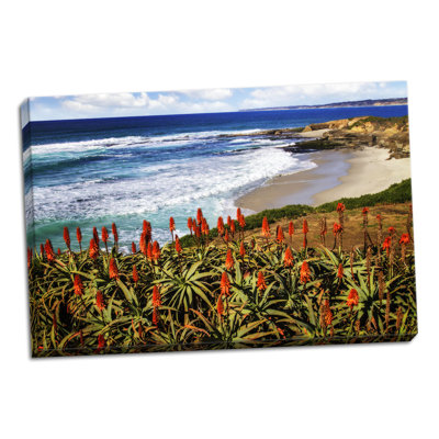 " Point La Jolla I " by Alan Hausenflock