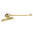 Polished Brass