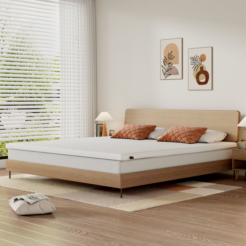 Surmatelas en latex de qualité supérieure Alwyn Home Premium 2 po (mi-ferme), Très grand lit californien