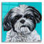 "Shih Tzu noir et blanc" par Carolee Vitaletti-1842469634