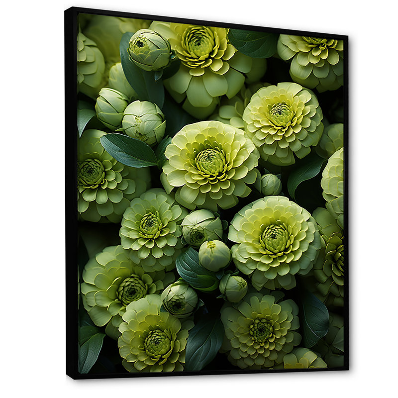 «Twilight Green Zinnias Flowers» sur toile, Cadre flottant noir, H 20 po x l 12 po