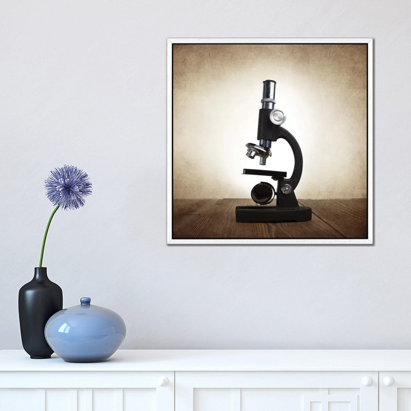 Microscope - Print on Canvas, White Framed, 45.72 cm H x 45.72 cm W