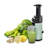 Dash Compact Cold Press Power Juicer-57367681