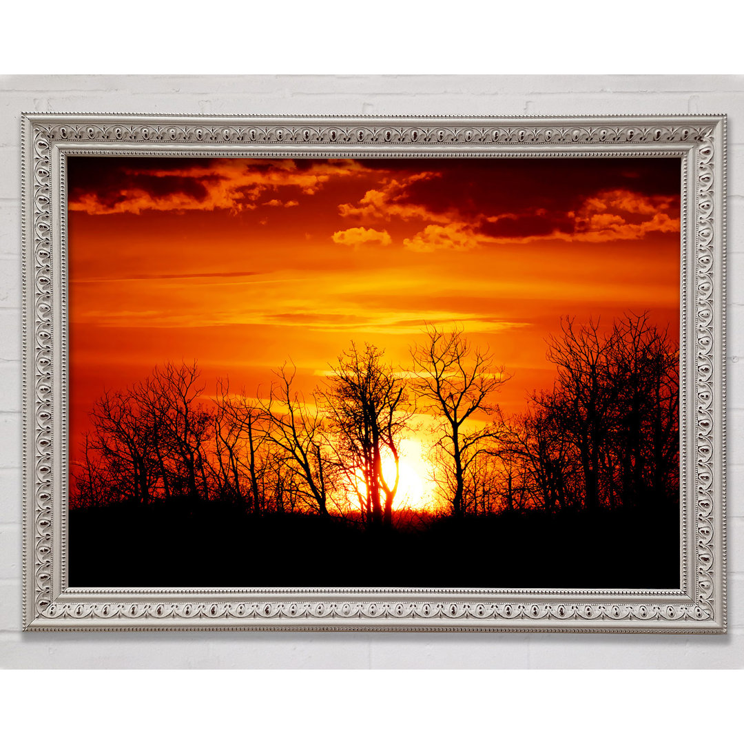 Orange Sunset Treeline - Einzelner Bilderrahmen Kunstdrucke