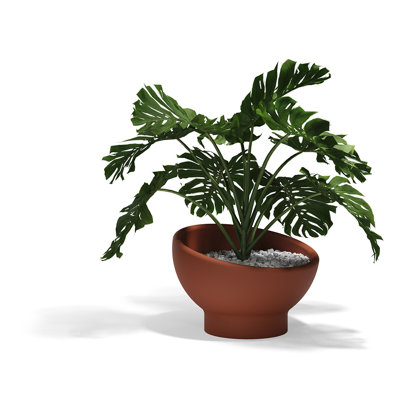 Luna Planter
