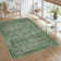 Elyria Performance Oriental Area Rug
